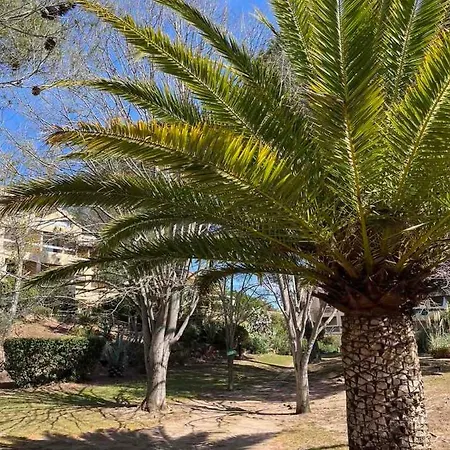Appart Estivale Pr 4pax Acces Plage * Saint-Raphaël